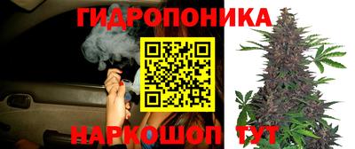трава Малоярославец