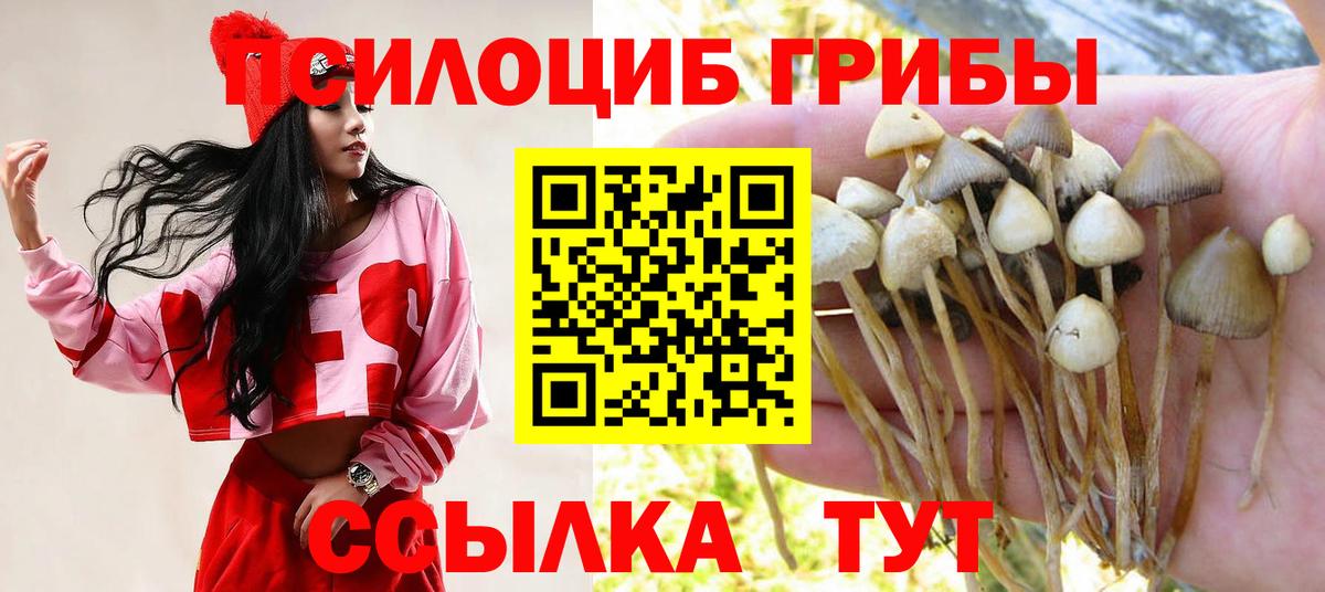 Галлюциногенные грибы мухоморы  Вход с VPN  сколько стоит  Бугульма  Галлюциногенные грибы Magic Shrooms 